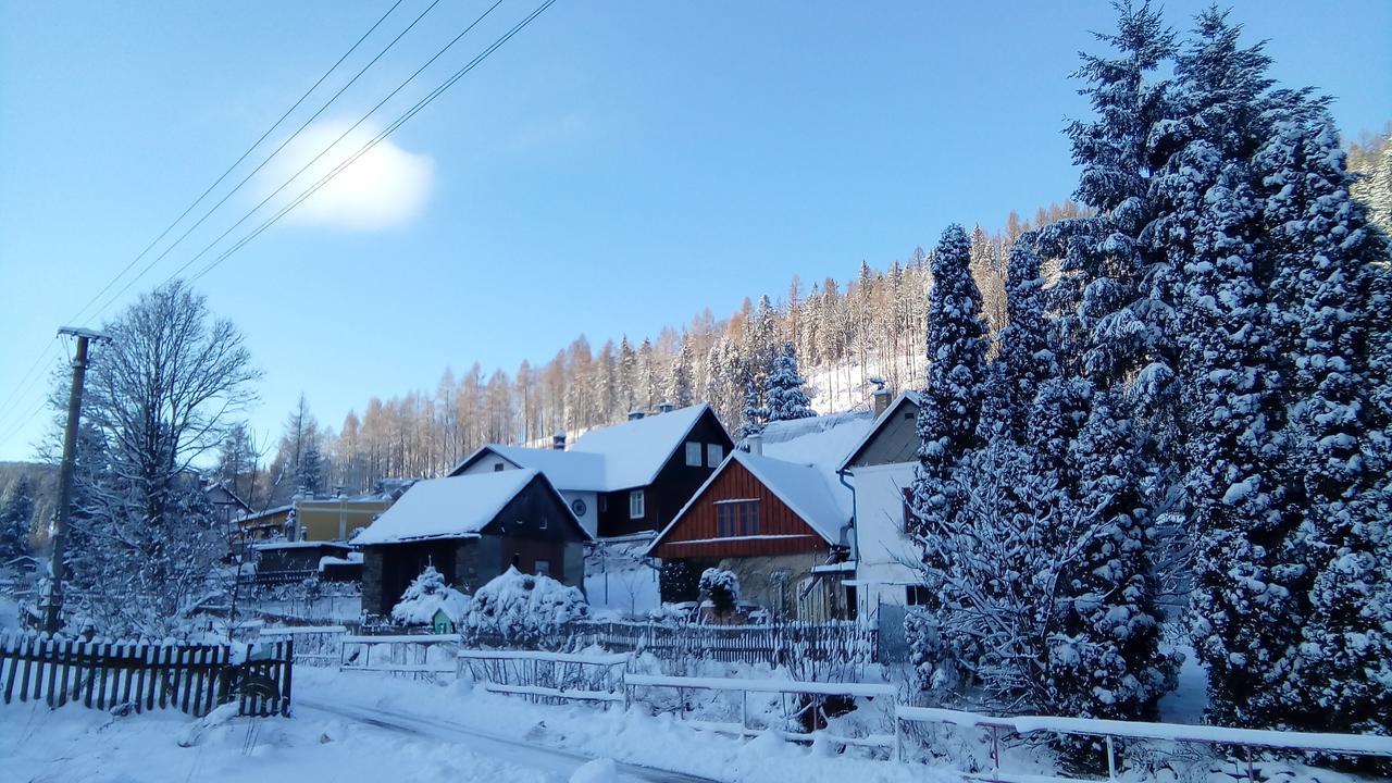 Penzion Edelstejn Petrovice  Exterior photo
